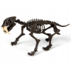 Clementoni Smilodon Zbuduj szkielet tygrysa ZA3713
