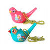 Ptaszek Gwizdek wodny Water Bird birds ZA1483